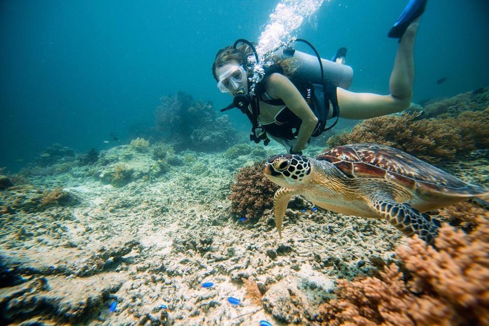 Cape Rose2 Hotell Gili Trawangan Exteriör bild